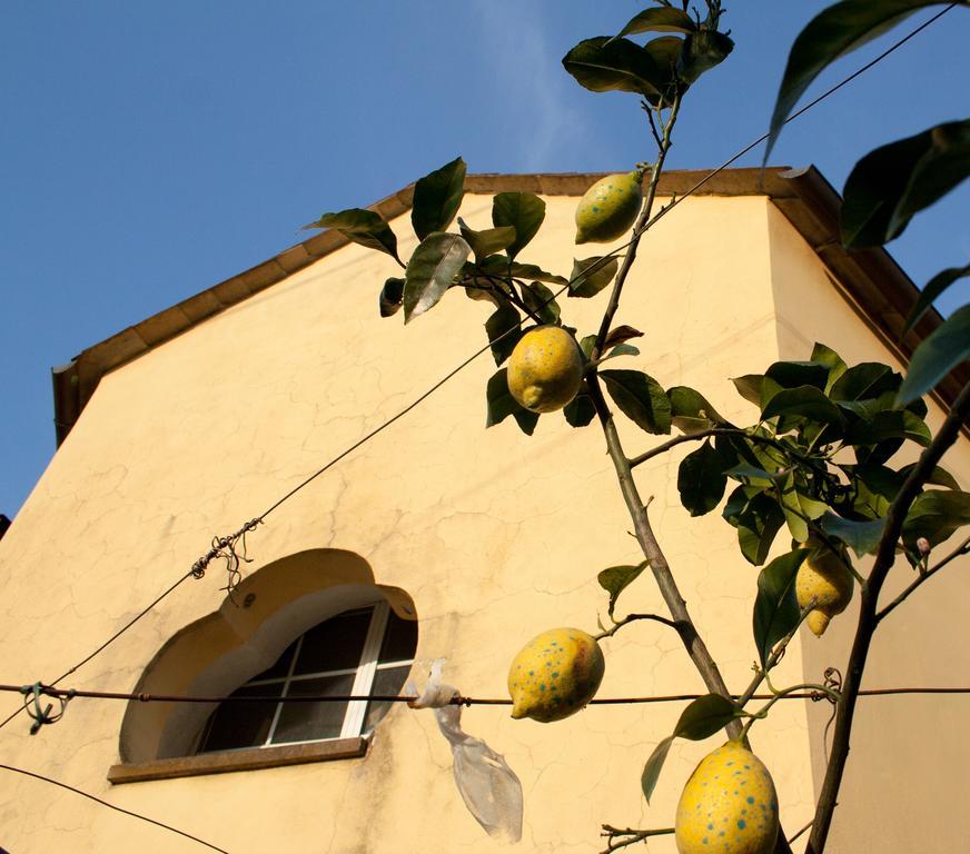 Family House Apartment Levanto Room photo